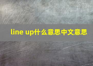 line up什么意思中文意思